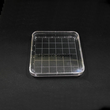 10pcs/lot Disposable 10cmx10cm Plastic Polystyrene Square Petri Dish, culture dish plate for Laboratory analysis