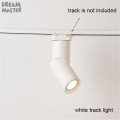 white track light