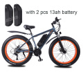 bike 2p battery