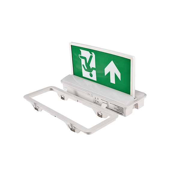IP65 emergency exit light