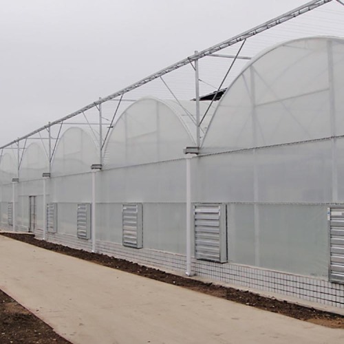 Multi Span Film Covering Greenhouse for Vegetables Manufacturers and Multi Span Film Covering Greenhouse for Vegetables Suppliers