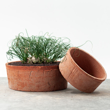 Outdoor Decorative Inexpensive Large Terracotta Plant Pots