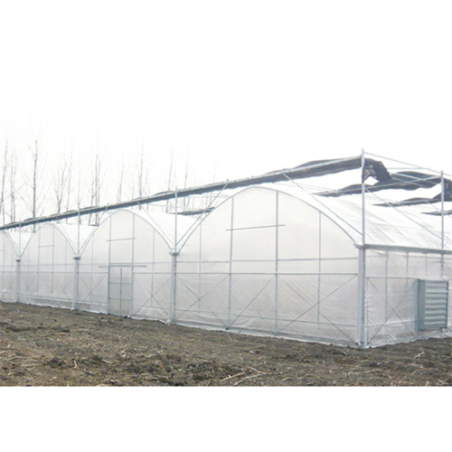 Multi Span Plastic Film Greenhouse For Agriculture Manufacturers and Multi Span Plastic Film Greenhouse For Agriculture Suppliers