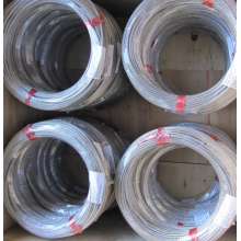 1X19 stainless steel wire rope 1/16in 316