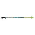 classic style kid ski poles