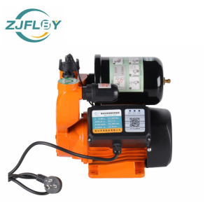 300 w intelligent pump