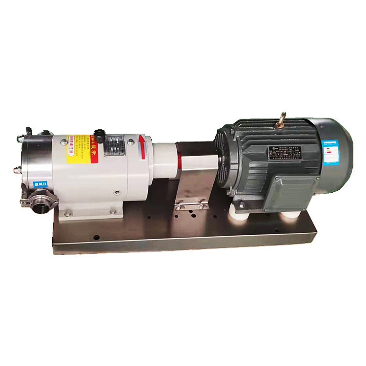 Rotor Pump
