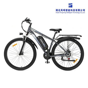 Effortless 350W 26 Inch Electric City Bike