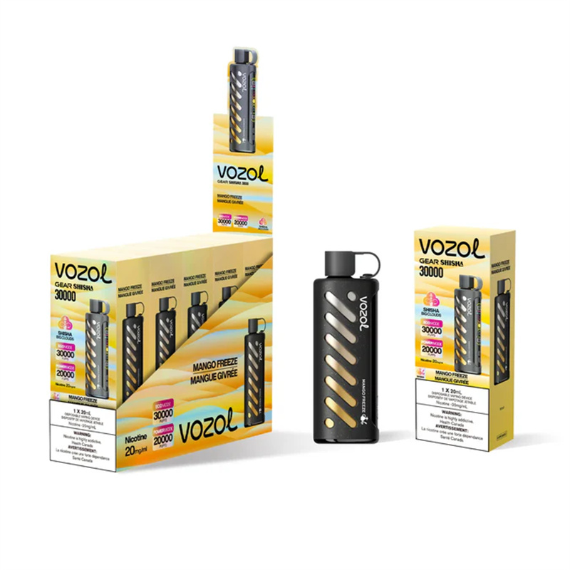 VOZOL shisha 20000 (9)