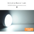 LED Ceiling Lamp Bathroom Ceiling Light 100-265V Surface Mounted Waterproof Light 16W/20W Indoor Outdoor Corridor Lights