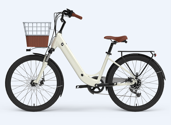 250w Electric Bike