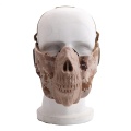 X Cosplay Scary Skull Half Face Mask Skeleton Lightweight Folding Breathable Mouth Protector Halloween Props Motorcycle Mask