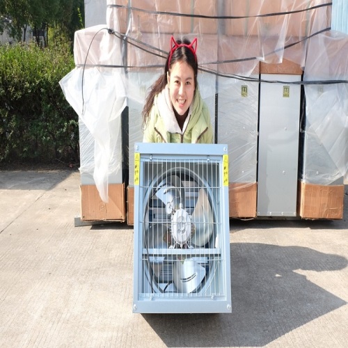 19 inch Belt Driven Exhaust Fan for Ventilation Manufacturers and 19 inch Belt Driven Exhaust Fan for Ventilation Suppliers