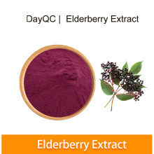 Bulk Black Elderberry extract Powder Elderberry anthocyanin