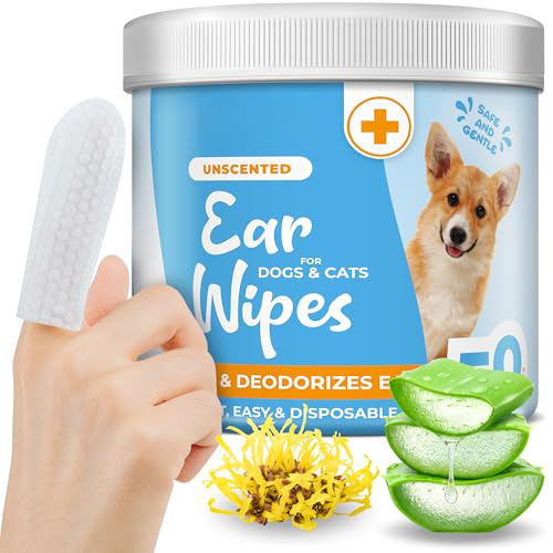 Hd2c97433d1f54655855b3e165f481aed6