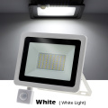 Type2 White Light