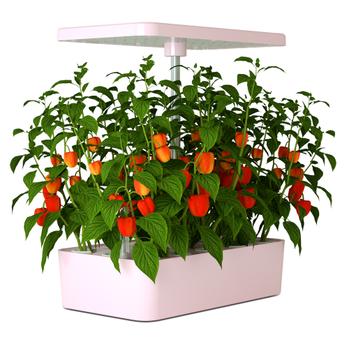 Indoor Intelligent Mini Farm Hydroponic Growing Systems Manufacturers and Indoor Intelligent Mini Farm Hydroponic Growing Systems Suppliers