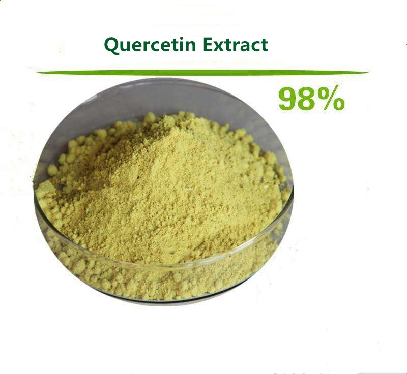 Top quality pure Quercetin Extract 98% health care 500g-1000g