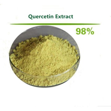 Top quality pure Quercetin Extract 98% health care 500g-1000g