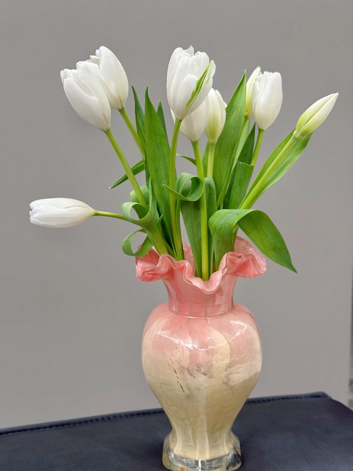 Fresh cut White Tulip4