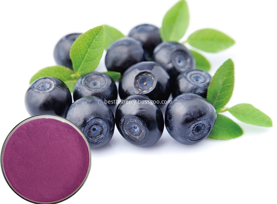 blueberry extract