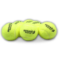 Professional Training Tennis Adult Youth Training Tennis for Beginner High Quality Rubber Suitable for Beginner School Club