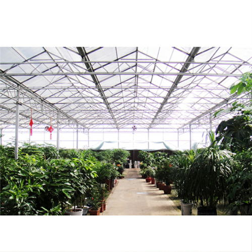 Agricultural Large Venlo Glass Flower Greenhouse Manufacturers and Agricultural Large Venlo Glass Flower Greenhouse Suppliers