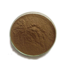 organic echinacea extract powder