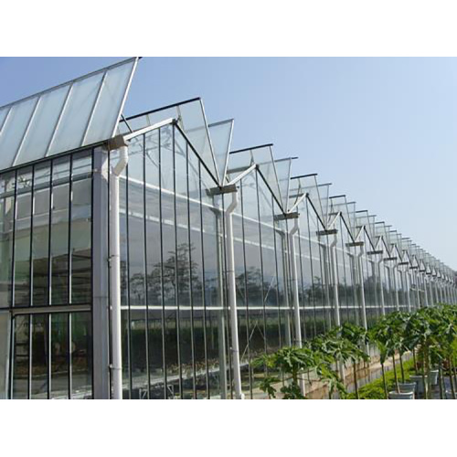 Tomato Cucumber Flower Horticulture Venlo Glass Greenhouse Manufacturers and Tomato Cucumber Flower Horticulture Venlo Glass Greenhouse Suppliers