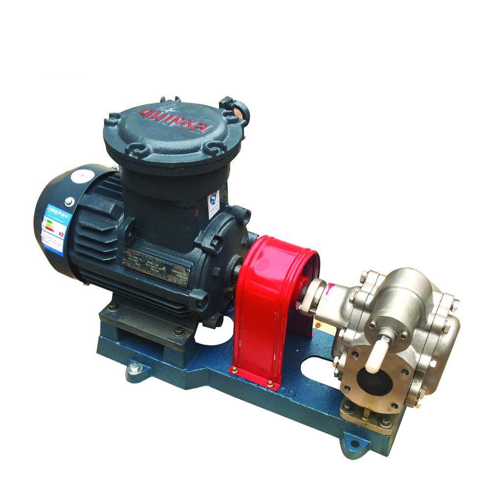 Trade Assurance Kcb2cy Lubricating Oil Vegetable Oil Sunflower Oil Gear Pump Stainless Steel Gear Pump1