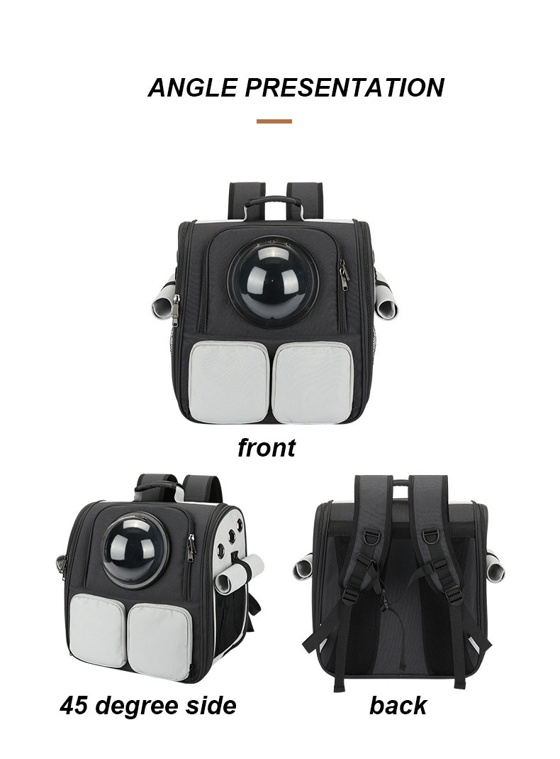 Portable Pet Carrier