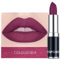 HANDAIYAN Matte Lipstick Tubes Waterproof Long Lasting Sexy Purple Lipstick Pigments Makeup Never Fade Away Lips Cosmetics TSLM2