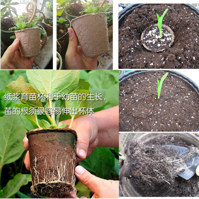 50pcs Paper Pot Plant Starters Nursery Cup Kit Organic Biodegradable Eco-Friendly Home Cultivation Garden Tools