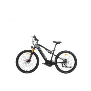 mountain electric bike buy online