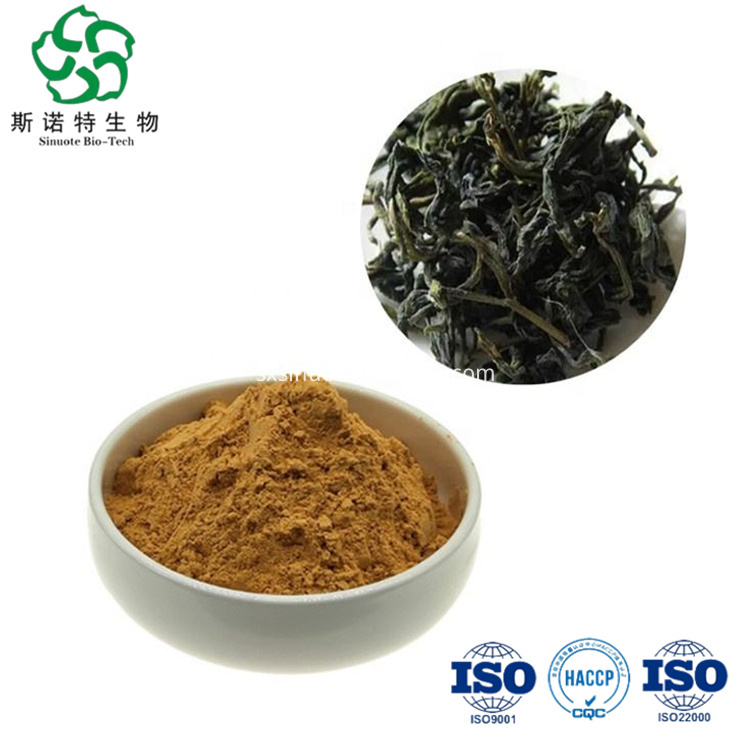 Oolong Tea Extract