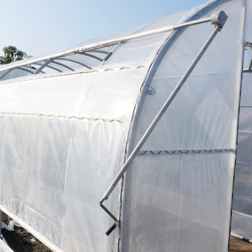 Economic PE Film Hot sale tunnel greenhouse Manufacturers and Economic PE Film Hot sale tunnel greenhouse Suppliers