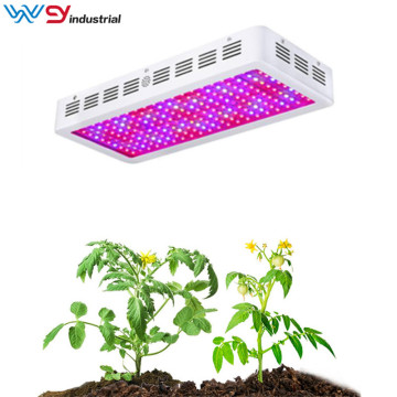 Seed starting with led grow lights 1500W