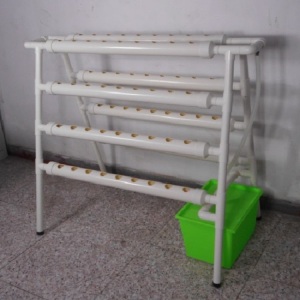 Indoor Hydroponic System for Tomato Lettuce Strawberries