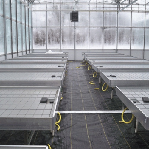 Greenhouse Tidal Seedbed Seed Bench Manufacturers and Greenhouse Tidal Seedbed Seed Bench Suppliers