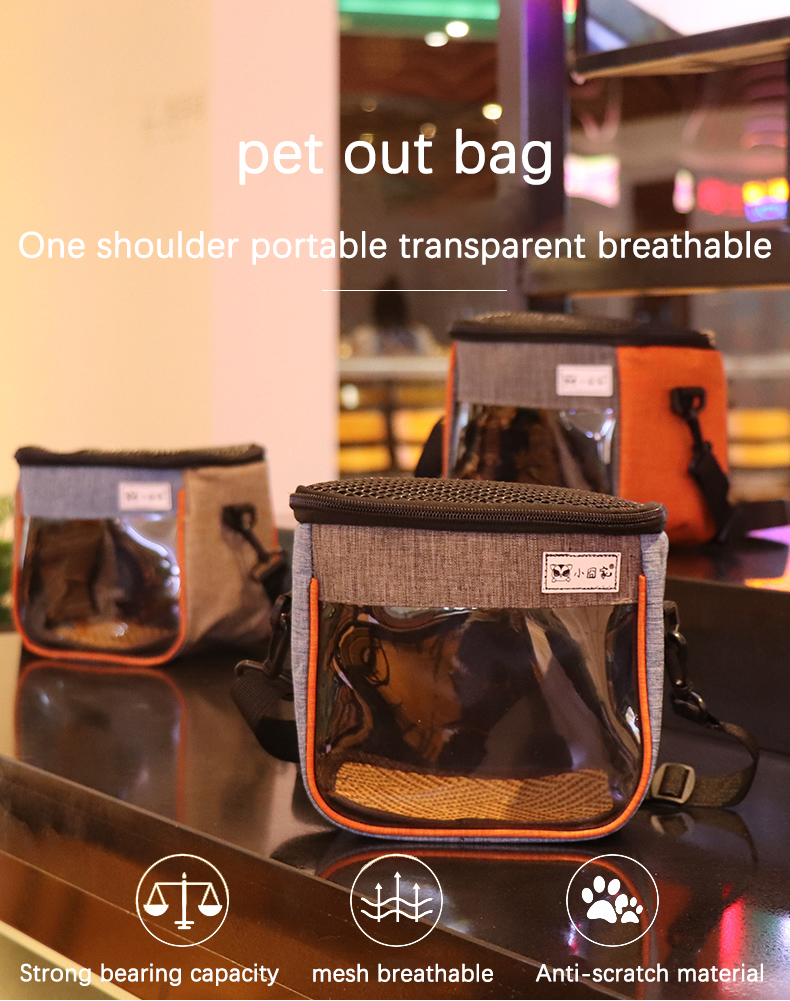 Pet Travel Carrier
