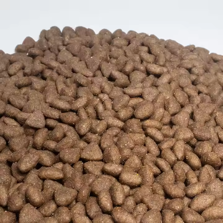 dog food (2)