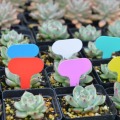 50/100pcs Colorful Plant Labels tags Markers Garden tools Vegetable Seedings Tags Sign PVC Gardening Stake Soil Paint Waterproof