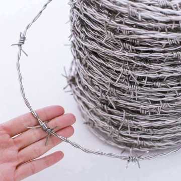 Galvanized Barbed Wire for Fence