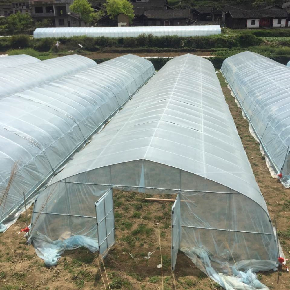 Single Greenhouse for Flower Planting