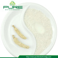 Water Soluble Ginseng Powder with Low Price
