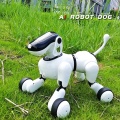 High-end Smart Robot Voice Control APP Control Bluetooth Connection intelligent Talking Robot dog Pet RC Robots Toys For Childre