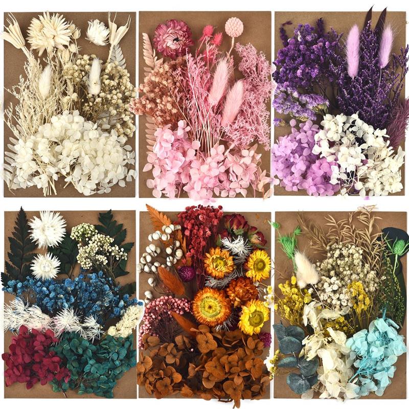 1Pack Preserved Flower Dried Flowers For DIY Resin Crafts Making Fit Aromatherapy Candle Epoxy Frame Embossing Decoration