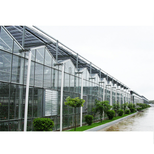 Agricultural Large Venlo Glass Flower Greenhouse