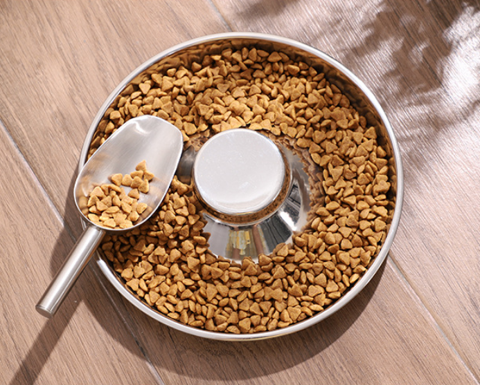 Dog Bowl Png