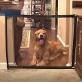 Super Durable And Portable Easy To Install Dog Isolation Net Portable Folding Pet Isolation Barrier Magic-gate Security Fence